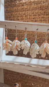 Cowrie Shell Hanging Earring